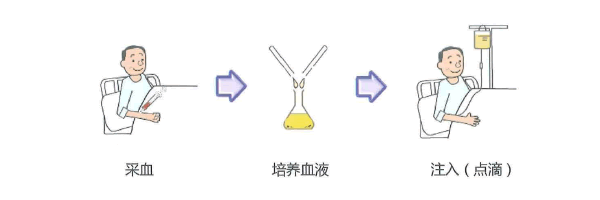免疫细胞疗法 