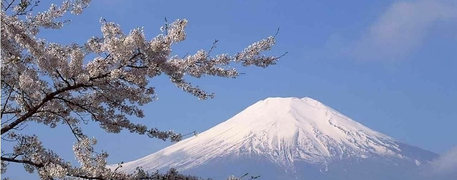 领略异国风情